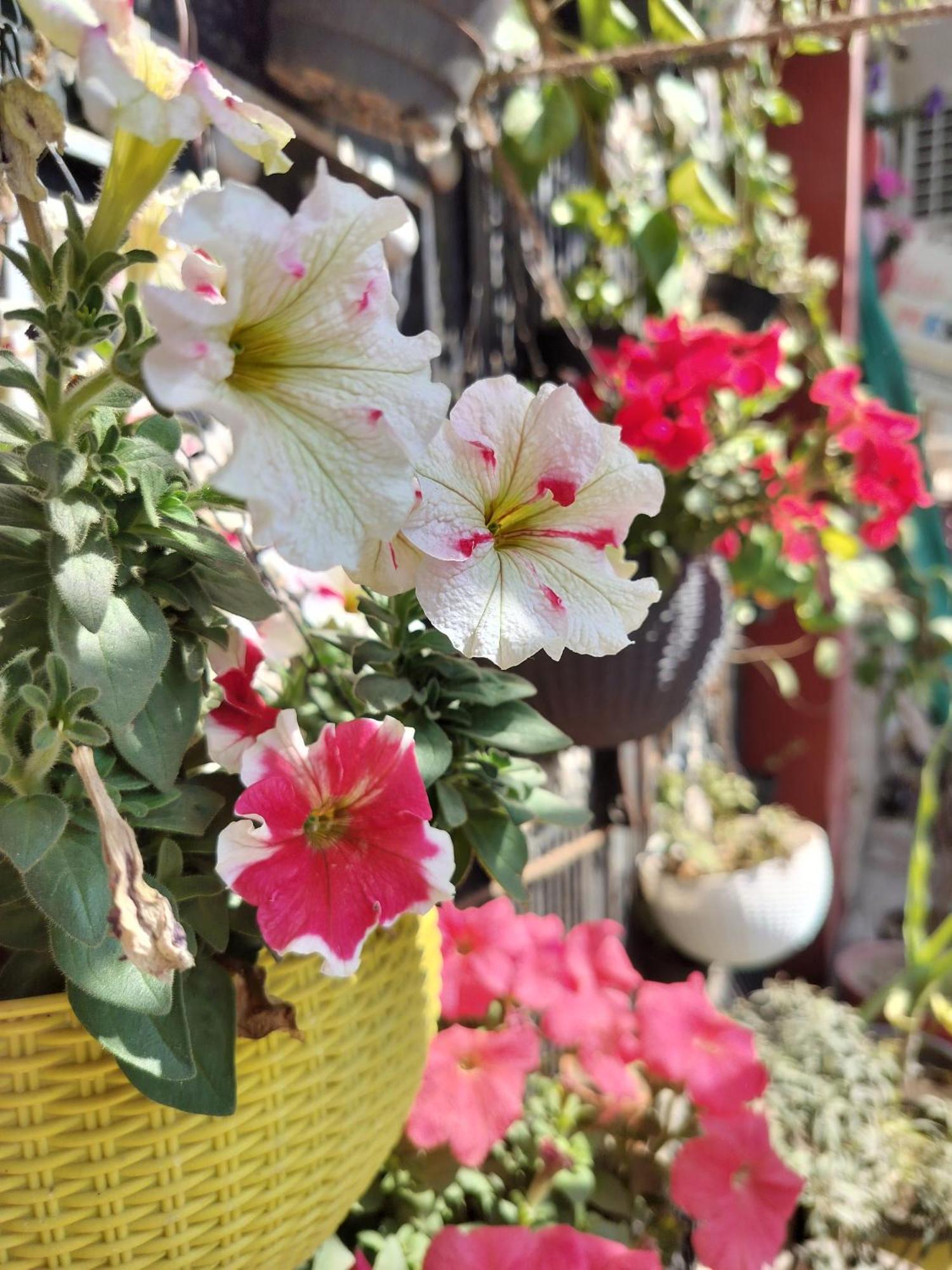 Kishan Home Stay Mathura Εξωτερικό φωτογραφία