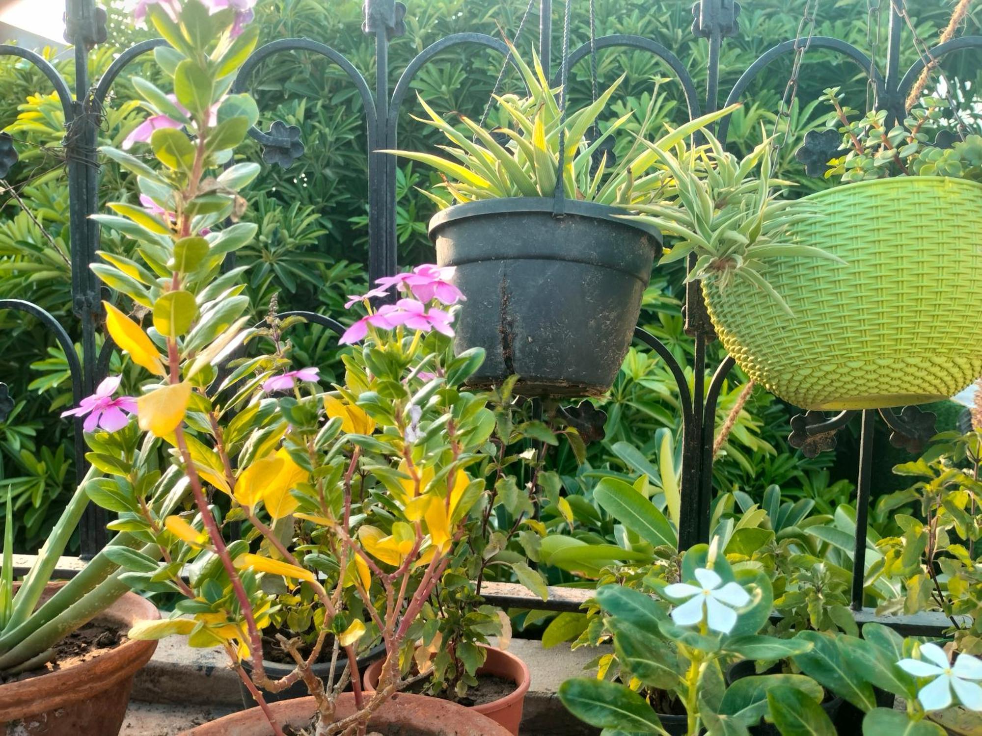 Kishan Home Stay Mathura Εξωτερικό φωτογραφία