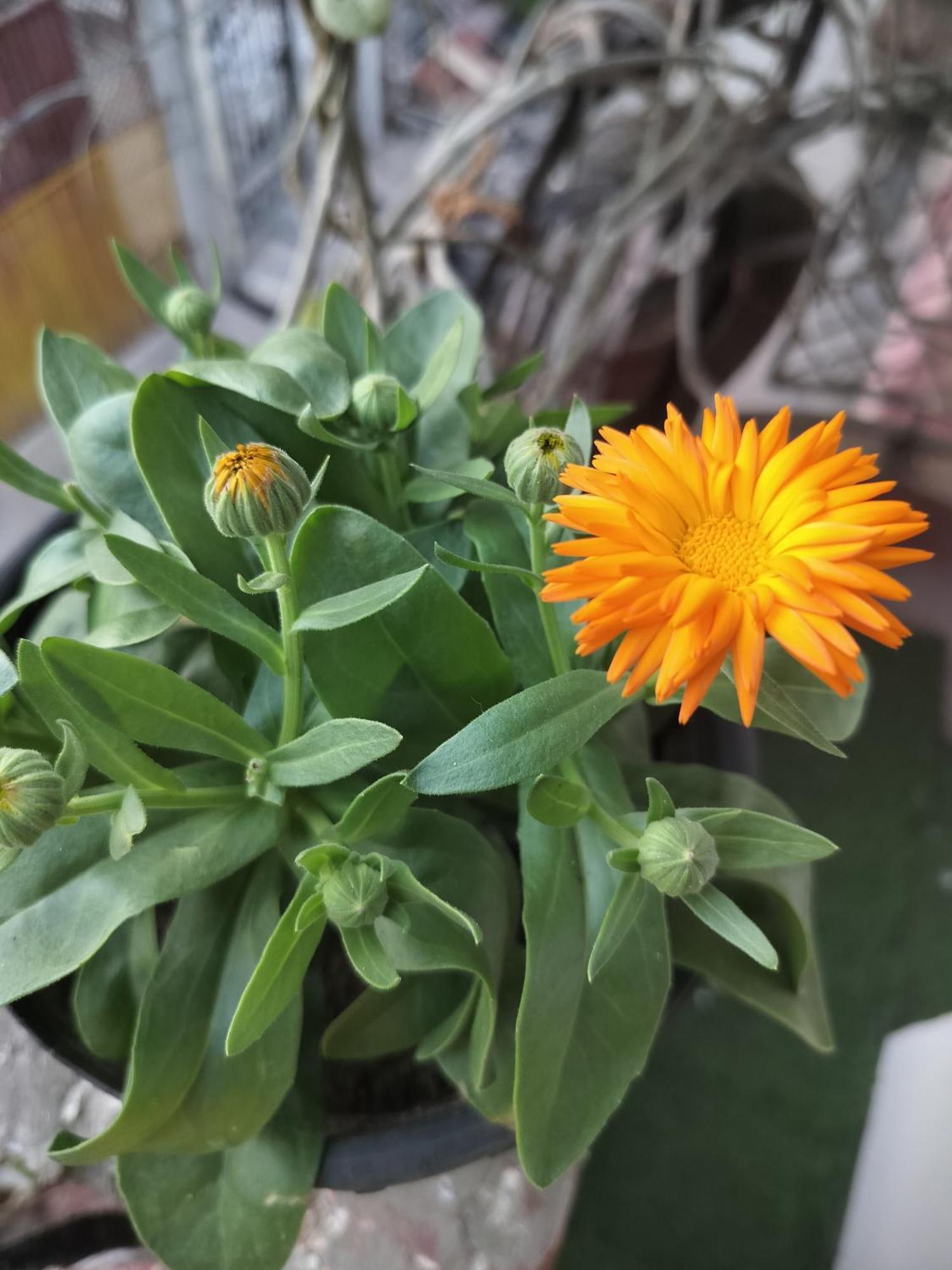 Kishan Home Stay Mathura Εξωτερικό φωτογραφία