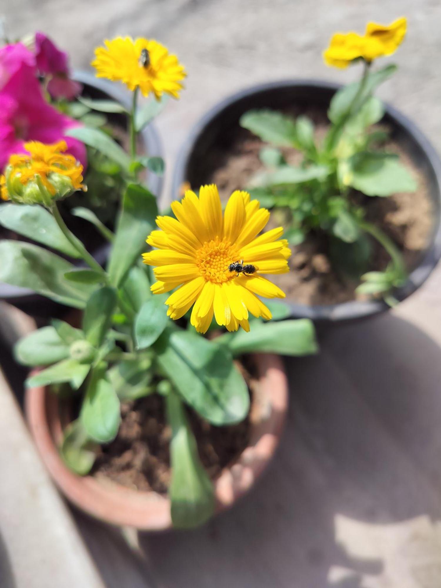 Kishan Home Stay Mathura Εξωτερικό φωτογραφία